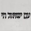 עם ישראל חי - תמונת מתכת